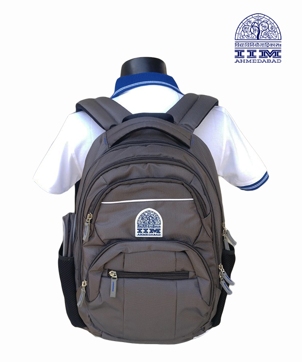Backpack  Small Grey