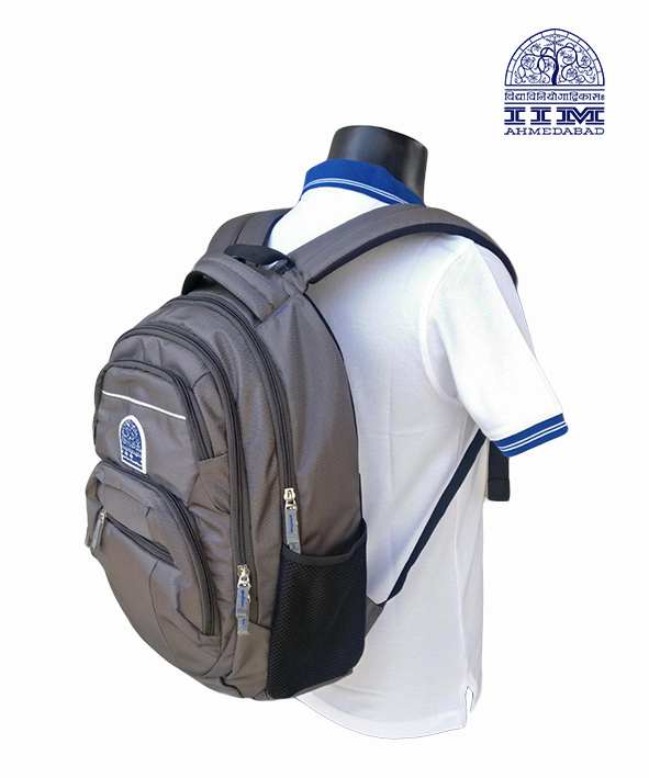 Backpack  Small Grey