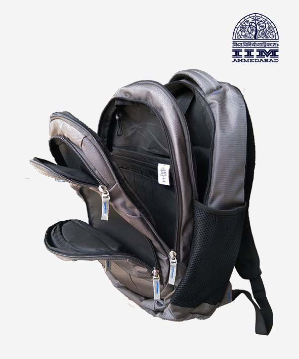 Backpack  Small Grey